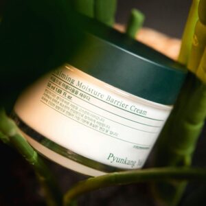 Home كريم تهدئة وترطيب حاجز البشرة calming moisture barrier cream – pyunkang yul